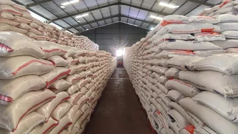 Harga cabai rawit di Pasar Induk Banyuwangi naik 3 kali lipat. (Hermawan Arifianto/Liputan6.com)