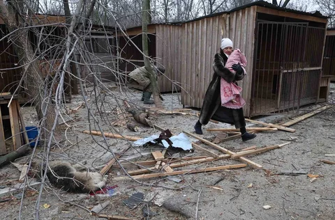 Warga mengevakuasi anjing yang terluka setelah tempat penampungan anjing liar hancur akibat serangan udara Rusia di Zaporizhzhia, Ukraina, Jumat (06/02/2026).
