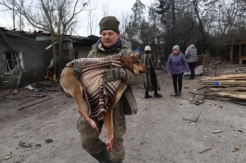 Warga mengevakuasi anjing yang terluka setelah tempat penampungan anjing liar hancur akibat serangan udara Rusia di Zaporizhzhia, Ukraina, Jumat (06/02/2026).