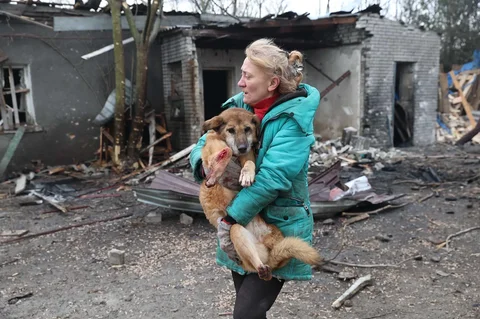 Warga mengevakuasi anjing yang terluka setelah tempat penampungan anjing liar hancur akibat serangan udara Rusia di Zaporizhzhia, Ukraina, Jumat (06/02/2026).