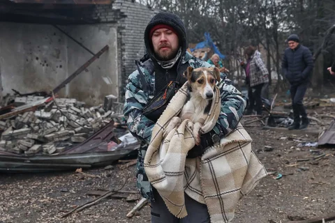 Warga mengevakuasi anjing yang terluka setelah tempat penampungan anjing liar hancur akibat serangan udara Rusia di Zaporizhzhia, Ukraina, Jumat (06/02/2026).