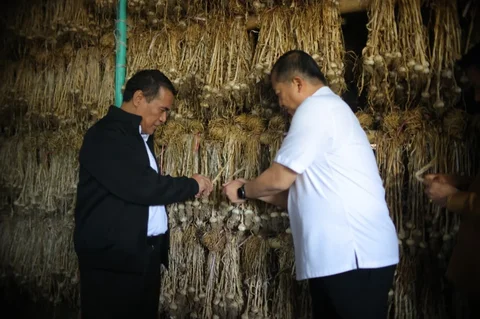 Menteri Pertanian Andi Amran Sulaiman saat meninjau pengembangan bawang putih di kawasan Sembalun, Lombok Timur, Nusa Tenggara Barat, Senin (09/02/2026).