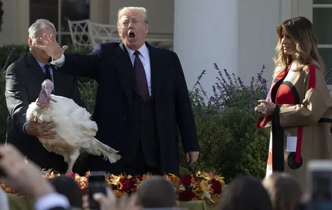 Melania Trump - Donald Trump