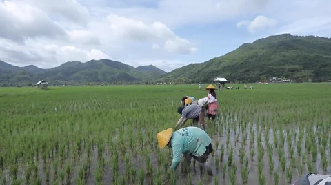 Desa Manemeng di Kabupaten Sumbawa Barat