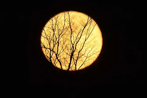 Bulan darah terbit di atas pepohonan di Savenay, Prancis barat, Selasa (03/03/2026) waktu setempat.