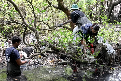 Warga membersihkan sampah plastik di area hutan bakau sebagai bagian dari kampanye kebersihan di Desa Serangan, Denpasar, Bali, Rabu (14/04/2026).