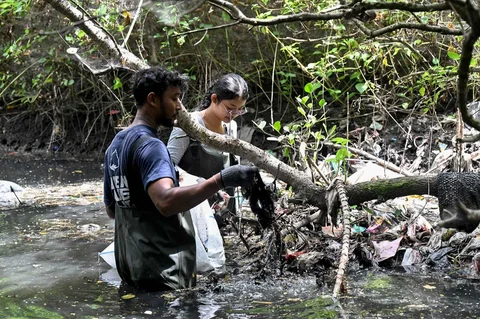 Warga membersihkan sampah plastik di area hutan bakau sebagai bagian dari kampanye kebersihan di Desa Serangan, Denpasar, Bali, Rabu (14/04/2026).