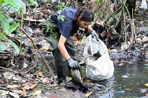 Warga membersihkan sampah plastik di area hutan bakau sebagai bagian dari kampanye kebersihan di Desa Serangan, Denpasar, Bali, Rabu (14/04/2026).
