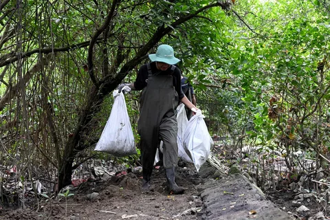 Warga membersihkan sampah plastik di area hutan bakau sebagai bagian dari kampanye kebersihan di Desa Serangan, Denpasar, Bali, Rabu (14/04/2026).