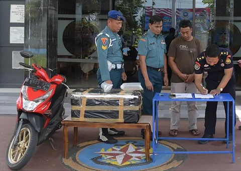 Tersangka dan barang bukti benih lobster ilegal di Lanal Cilacap, Jawa Tengah, Minggu  (19/04/2026).
