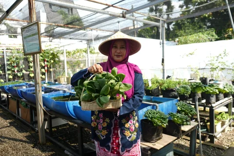 BRI Berdayakan Perempuan Lewat Urban Farming Program BRInita