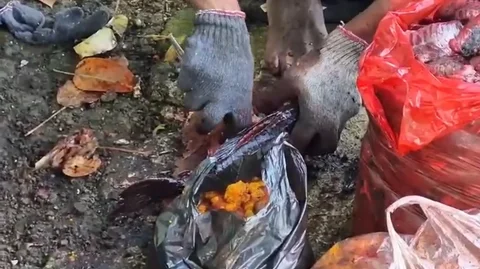 Satpol PP Sawah Besar Amankan Lima Penjual Daging Ikan Sapu-sapu untuk Olahan Siomay