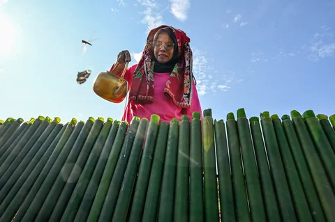 Peserta menuangkan santan ke dalam bambu saat proses memasak lemang (theut leumang) di bantaran sungai Desa Lhueng Asan, Aceh Barat Daya (Abdya), Aceh, Sabtu (25/4/2026).