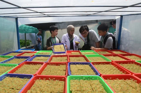 Siswa Life Community School  belajar tentang  sistem pertanian hidroponik di Ladang Farm, Lebak Bulus, Jakarta, Kamis (30/04/2026).