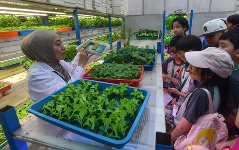 Siswa Life Community School  belajar tentang  sistem pertanian hidroponik di Ladang Farm, Lebak Bulus, Jakarta, Kamis (30/04/2026).