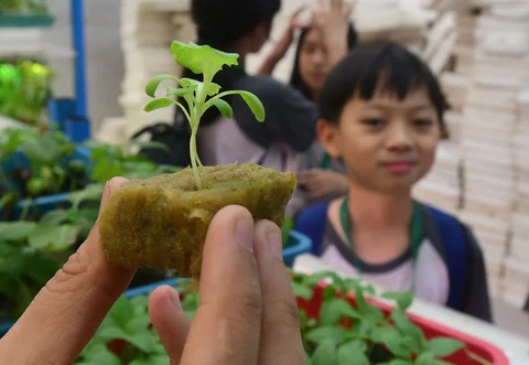 Siswa Life Community School  belajar tentang  sistem pertanian hidroponik di Ladang Farm, Lebak Bulus, Jakarta, Kamis (30/04/2026).