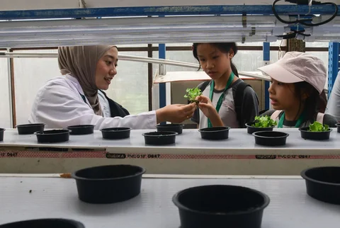 Siswa Life Community School  belajar tentang  sistem pertanian hidroponik di Ladang Farm, Lebak Bulus, Jakarta, Kamis (30/04/2026).