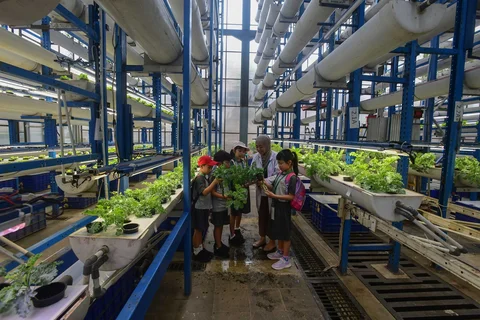 Siswa Life Community School  belajar tentang  sistem pertanian hidroponik di Ladang Farm, Lebak Bulus, Jakarta, Kamis (30/04/2026).