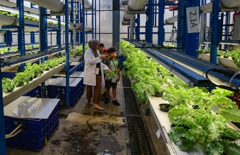 Siswa Life Community School  belajar tentang  sistem pertanian hidroponik di Ladang Farm, Lebak Bulus, Jakarta, Kamis (30/04/2026).