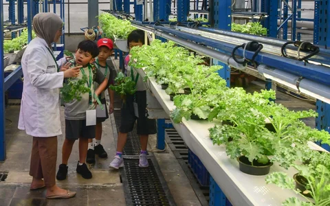 Siswa Life Community School  belajar tentang  sistem pertanian hidroponik di Ladang Farm, Lebak Bulus, Jakarta, Kamis (30/04/2026).