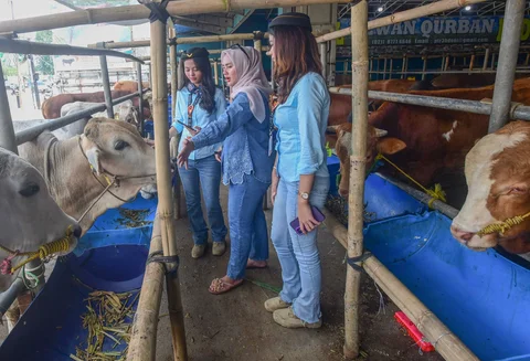 Sales Promotion Girl (SPG) dengan mengenakan  kostum ala pramugari melayani calon pembeli di Mall Hewan Qurban H. Doni, Depok, Jawa Barat. Senin (11/05/2026).