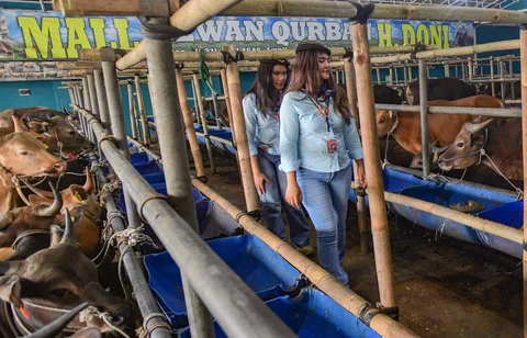 Sales Promotion Girl (SPG) dengan mengenakan  kostum ala pramugari melayani calon pembeli di Mall Hewan Qurban H. Doni, Depok, Jawa Barat. Senin (11/05/2026).