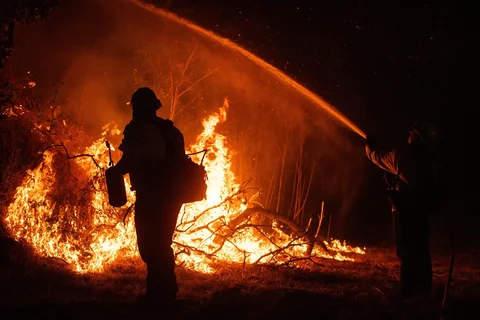 Petugas pemadam kebakaram memadamkan api pada  lokasi kebakaran hutan  di Simi Valley, California, Senin (18/05/2026) waktu setempat.