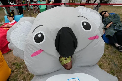 Peserta tidur siang saat Kompetisi Hangang Nap 2026 di Taman Yeouido Hangang di Seoul, Korea Selatan, Sabtu (02/05/2026).