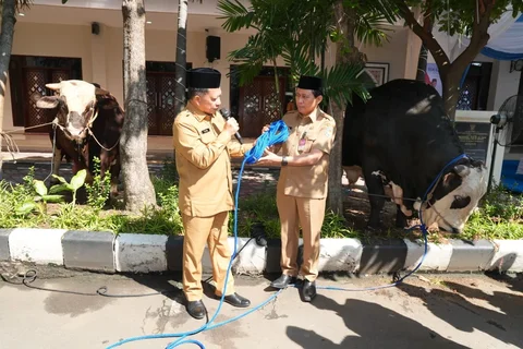 Perkuat Kepedulian Sosial, Mendagri Serahkan Hewan Kurban Kemendagri dan BNPP