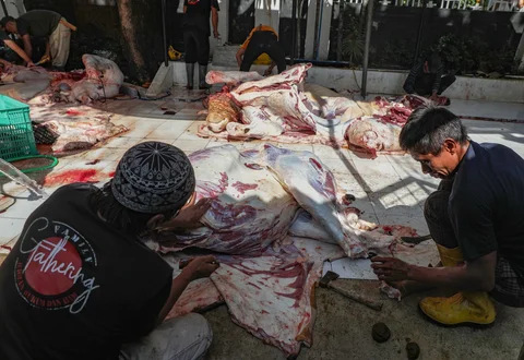 Petugas memotong  daging sapi kurban di Masjid Sunda Kelapa, Jakarta, Rabu (27/5/2026).
