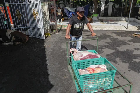 Petugas membawa  daging sapi kurban di Masjid Sunda Kelapa, Jakarta, Rabu (27/5/2026).