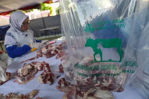 Petugas mengemas daging sapi kurban ke dalam kantong plastik di Masjid Sunda Kelapa, Jakarta, Rabu (27/5/2026).