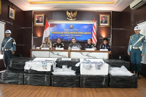 Konferensi pers TNI Angkatan Laut terkait penggagalan penyelundupan 125.000 benih bening lobster digelar di Markas Komando Lanal Palembang, Selasa (06/05/2026).
