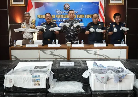 Konferensi pers TNI Angkatan Laut terkait penggagalan penyelundupan 125.000 benih bening lobster digelar di Markas Komando Lanal Palembang, Selasa (06/05/2026).