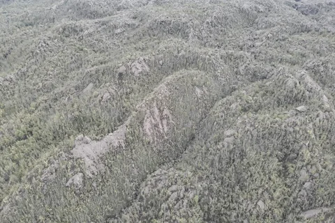 Kawasan Gunung Dukono yang tertutup abu vulkani erupsi Gunung Dukono di Kecamatan Galela, Kabupaten Halmahera Utara, Maluku Utara, Sabtu (9/5/2026).