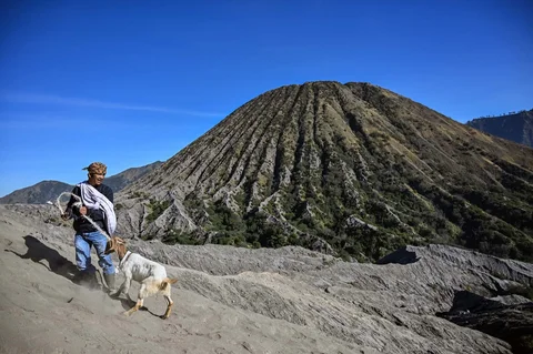 Warga suku Tengger berjalan membawa sesajen  saat upacara Yadnya Kasada di Gunung Bromo, Kabupaten Probolinggo, Jawa Timur, Senin (1/6/2026).