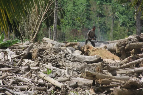 Ketika Hutan Tak Lagi Menahan Air: Menilik Jejak Deforestasi di Balik Cuaca Ekstrem Sumatra Utara