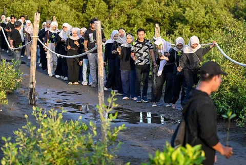 Relawan yang tergabung dalam Komunitas Ruang Lingkup menanam bibit mangrove di ruang terbuka hijau Mangrove Park Lampulo, Banda Aceh, Aceh, Sabtu (13/6/2026).