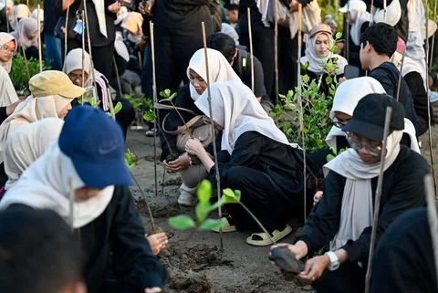 Relawan yang tergabung dalam Komunitas Ruang Lingkup menanam bibit mangrove di ruang terbuka hijau Mangrove Park Lampulo, Banda Aceh, Aceh, Sabtu (13/6/2026).