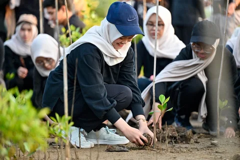 Relawan yang tergabung dalam Komunitas Ruang Lingkup menanam bibit mangrove di ruang terbuka hijau Mangrove Park Lampulo, Banda Aceh, Aceh, Sabtu (13/6/2026).