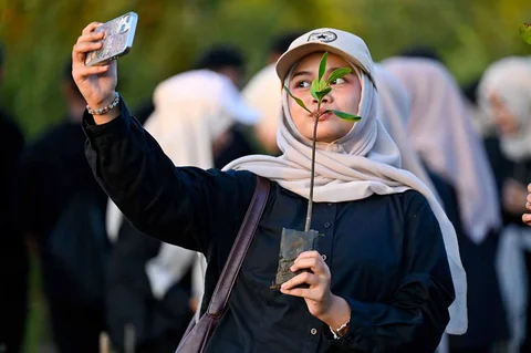 Relawan yang tergabung dalam Komunitas Ruang Lingkup menanam bibit mangrove di ruang terbuka hijau Mangrove Park Lampulo, Banda Aceh, Aceh, Sabtu (13/6/2026).