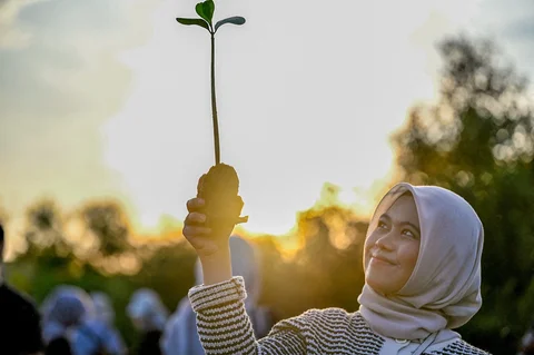Relawan yang tergabung dalam Komunitas Ruang Lingkup menanam bibit mangrove di ruang terbuka hijau Mangrove Park Lampulo, Banda Aceh, Aceh, Sabtu (13/6/2026).