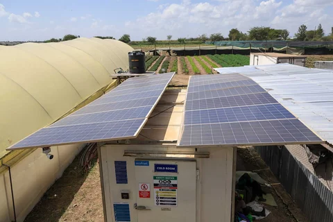 Pemandangan unit penyimpanan dingin bertenaga surya di Citadel Agri Merchants di Kitengela, Kabupaten Kajiado, Kenya, (22/05/2026).