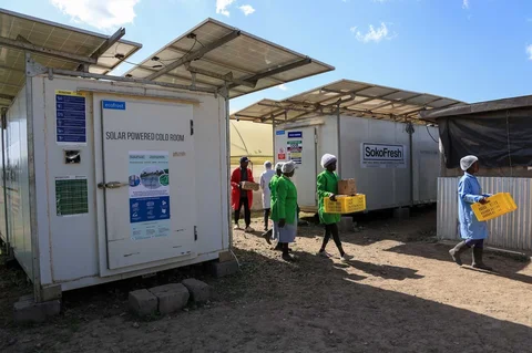 Para pekerja membawa rsayuran  segar dari ruang pendingin bertenaga surya Soko Fresh di Citadel Agri Merchants di Kitengela, Kabupaten Kajiado, Kenya, (22/05/2026