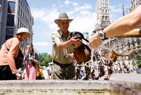 Seorang pria memberi anjingnya air minum dari air mancur di Munich, Jerman selatan,Minggu (20/06/2026).