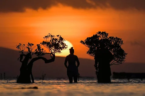 Warga berdiri di air dekat pohon bakau saat matahari terbenam di pantai Walakiri di Waingapu, Sumba Timur, Nusa Tenggara Timur, Rabu (24/06/2026).