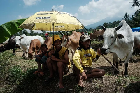 Warga menunggu kegiatan Pacu Jawi, sebuah acara pacuan sapi tradisional, di desa Simabur, Kabupaten Tanah Datar, Sumatera Barat, Sabtu (27/06/2026).