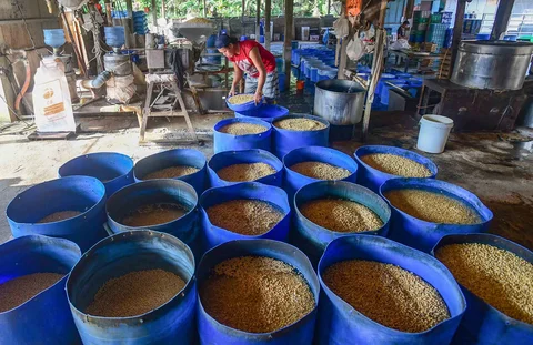 Pekerja menyelesaikan pembuatan tahu di salah satu sentra produksi kawasan Pasir Putih, Depok,  Jawa Barat, Senin  (08/06/2026).
