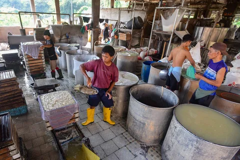 Pekerja menyelesaikan pembuatan tahu di salah satu sentra produksi kawasan Pasir Putih, Depok,  Jawa Barat, Senin  (08/06/2026).