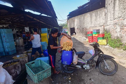 Pedagang eceran  mengambil tahu yang akan dijual di salah satu sentra produksi kawasan Pasir Putih, Depok,  Jawa Barat, Senin  (08/06/2026).